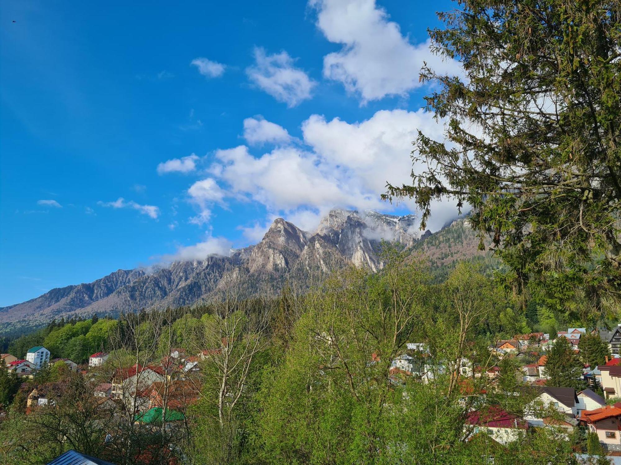 Casa Florescu Buşteni Екстериор снимка